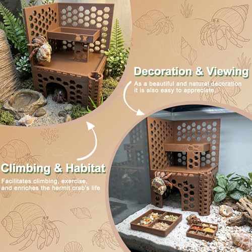 Hermit Crab Climbing Toys and Hideout,Multi-Functional Climbing Wall & Habitat Tank Accessories | Dual-Tower Hermit Crab Foraging Cave with Feeding Dish,Hermit Crabs Climbing Habitat and Enrichment