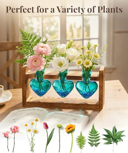Nacome Plant Terrarium with Wooden Stand, 3 Heart Bulb Glass Vases | Wooden Stand Tabletop for Air Planter, Gifts for Mom Plant Lovers Mom Women Wife Grandma - color: Blue