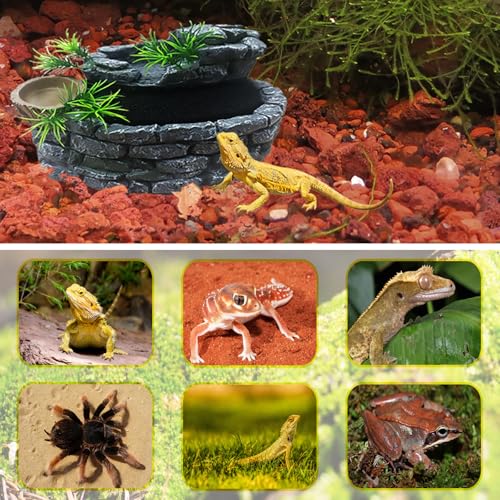 550ML Reptile Water Fountain with Food Dish – Terrarium Drinking Fountain for Bearded Dragon, Gecko, Chameleon, Lizard, Tree Frog & Turtle – Keeps Water Clear, Easy-to-Use Water Dispenser
