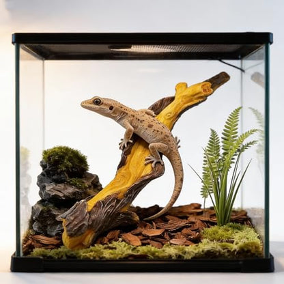Reptile Climbing Tree Branch: Resin Wood Decor for Terrarium | Reptile Habitat- Safe Non-Toxic Easy to Clean - for Bearded Dragon Gecko Tree Frog Enrichment Accessories