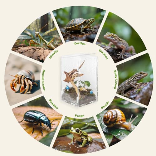 Small Acrylic Terrarium 4.7x4.7x7.8 inch, Transparent Reptile Enclosure Habitat with Ventilation, Mini Tank for Small Hermit Crab, Juvenile Gecko, Baby Lizard, Praying Mantis, Critters, Bugs & Insects