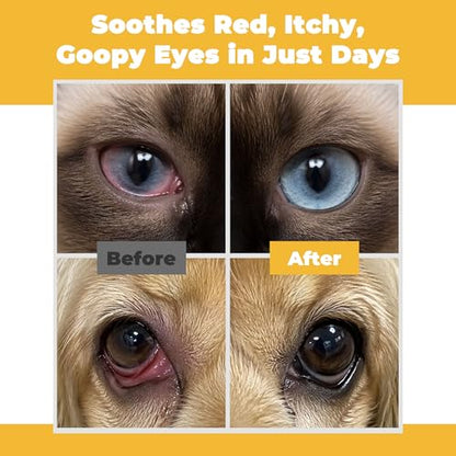 Pet Eye Health for Dogs, Cats, Cattle, Sheep, Horses, Birds, Puppies and Kittens - 3 x 0.35 oz (10 g) Tubes