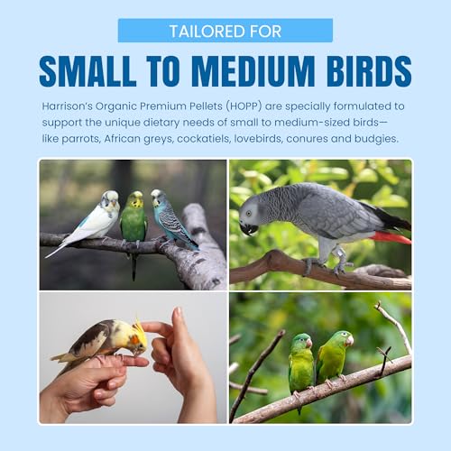 Harrison's Bird Foods HOPP Premium Pellets – Organic, Nutritionally Balanced Food for Small to Medium Pet Birds, Cold-Pressed, Low Fat, Vet-Developed, 5LB - size: 5 Pound (Pack of 1)