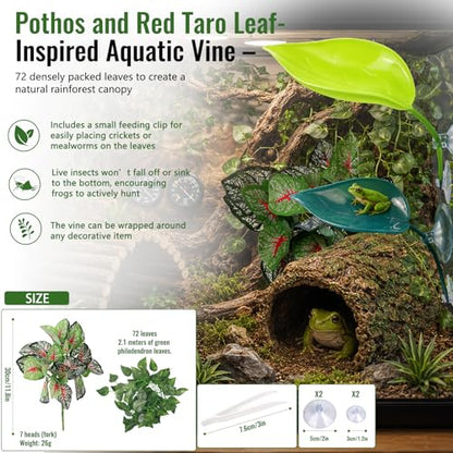 Frog Tank Accessories Set – Complete Tree Frog Habitat Kit with Hideout Cave, Water Dish, Feeding Bowl, Suction Cup Plants & Climbing Decor | Toad Terrarium Supplies for Amphibians