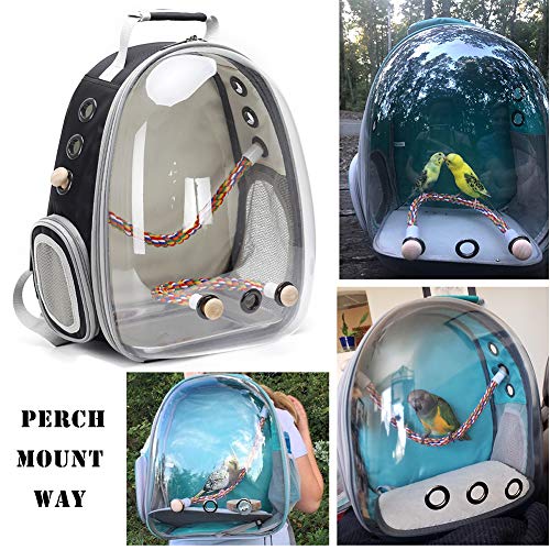 Bird Traval Carrier Cage, Clear Space Capsule Astronaut Backpack to Carry Parakeet Cockatiel Parrot with Metal Tray Wood Perch, Vet Transport School Bag - color: Grey