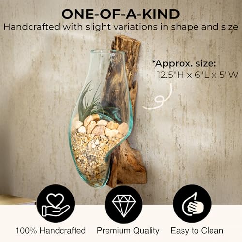 Cape Craftsmen Wall Mounted 12" Molten Glass Hanging Terrarium Kit on Natural Driftwood, Indoor Wall Planter Vase on Wood, Propagation Station for Hydroponics Plants, Succulent Pot - size: Wall Mounted