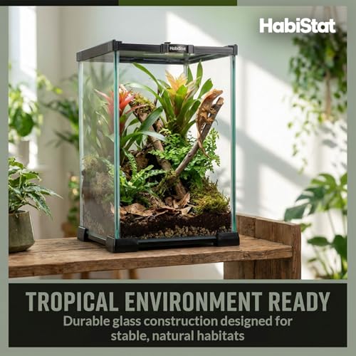 Habistat Mini Glass Terrarium for Reptiles 8"x8"x12" – Stackable Reptile Enclosure for Inverts & Amphibians with Lock & Watertight Base, Ideal Terrarium Tank for Geckos and Indoor Bioactive Setups - size: 8"x8"x12"