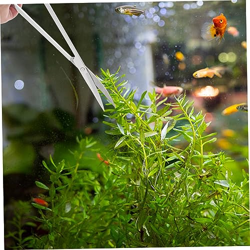 COLLBATH 1set Aquarium Scissors Set Stainless Steel Long Tweezer Scraper Tool for Plant Care - size: 32X7X1CM