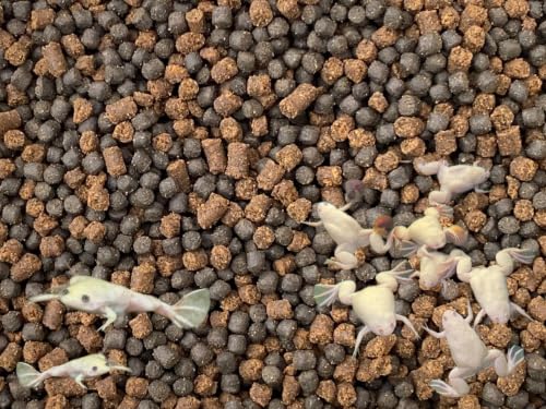 African Clawed Frog Food Mix Soft Pellets 3.2 & BLACKWORM PELLETS 3.0 Aquatic Frogs A451F (2oz)