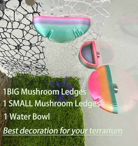 2 Pack Jumping Spider Accessories Mushroom Ledges & 1 Pack Water Bowl with Magnets for Spoods Jumping Spiders Magnetic Ledge Ladder Pet Spider Accessories (Not Included The Terrarium) (colorful) - color: colorful