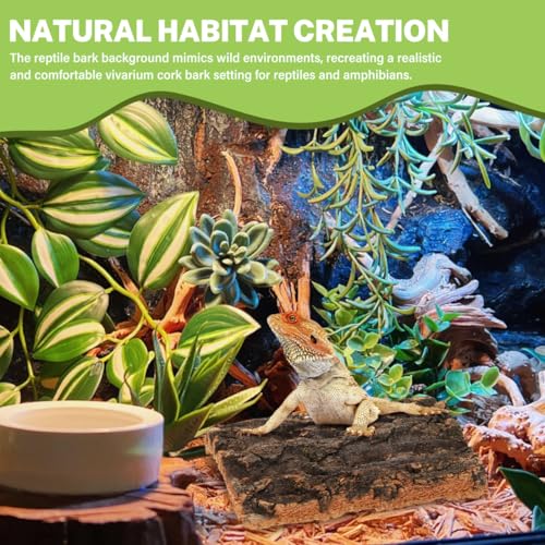 Garneck 5Pcs Reptile Terrarium Cork Bark Background - Natural Cork Wood for Reptile Tank Decor - Vivarium and Gecko Enclosure Background with Climbing and Hiding Features