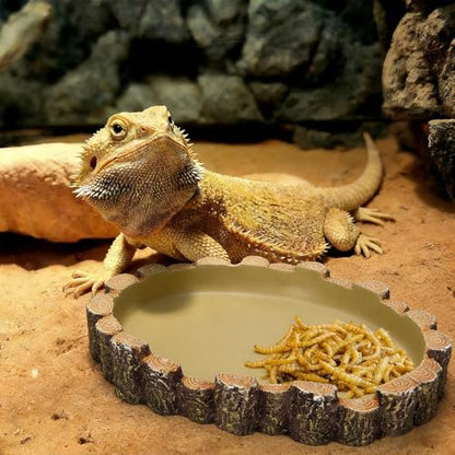 X-Large Bearded Dragon Water Dish Food Bowl, Reptile Food Dish, 9.5"x7.7"x1.4"