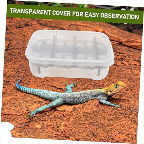 VANZACK Box Incubator Reptiles Reptile Terrariums Betta Fish Tank Terrarium Reptile Egg Incubation Service Dog Patches Pets Dog Wig Fake Swimming Collar Breakaway Reptichip Reptisoil Black