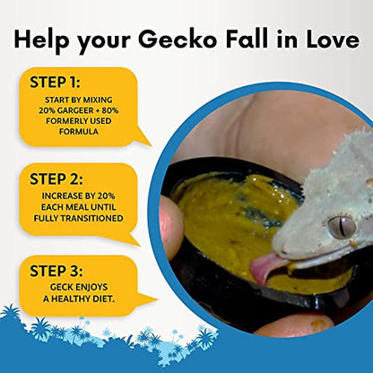Gargeer 8oz Gentle Geck Mango Diet - Crested Gecko Food. Made in USA | Drive picky geckos wild! A irresistible organic mango superfood blend loaded with gut-safe probiotics and antioxidants - size: 8 Ounce (Pack of 1)