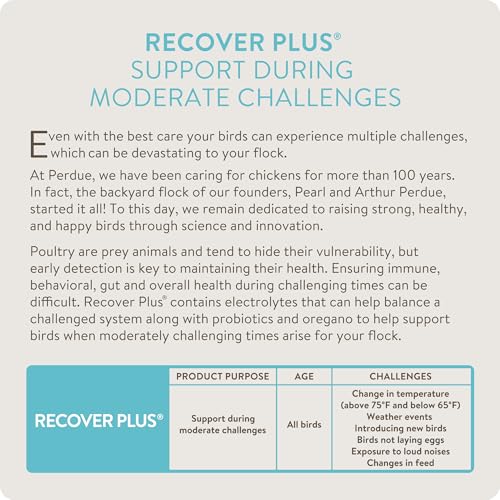 Recover Plus Moderate Stress Probiotic Water Supplement for Chickens with Electrolytes & Oregano, 8 oz - size: 8 Ounce (Pack of 1), style: Recover Plus