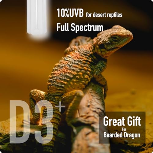 MRREPTILE UVB Reptile Light, 13W 10.0 UVB Bulb Light for Reptiles, UVA UVB Reptile Light, Desert Reptiles UVB Lamp for Bearded Dragon (UVB10.0 13W) - style: UVB10.0 13W