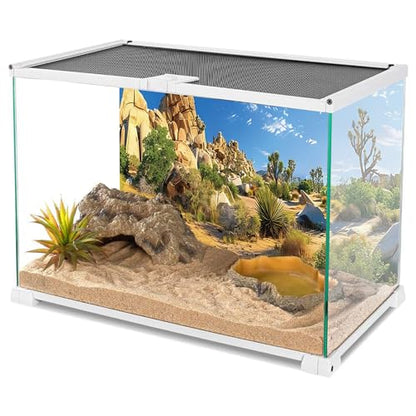 AWERT 36x18 inches Reptile Habitat Background Stone Blue Sky Oasis Cactus Sun and Desert Terrarium Background Polyester Background | AWERT Blue Sky Oasis Sun and Desert Polyester Background - size: 36x18in/90x45cm