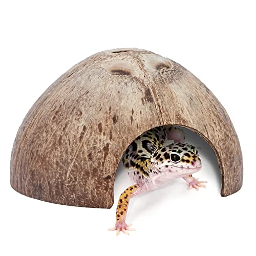 2 Pack Natural Coconut Reptile Hideouts, Lizard, Spider and Aquarium Fish Hide Cave (Smooth Surface) - color: Smooth Surface