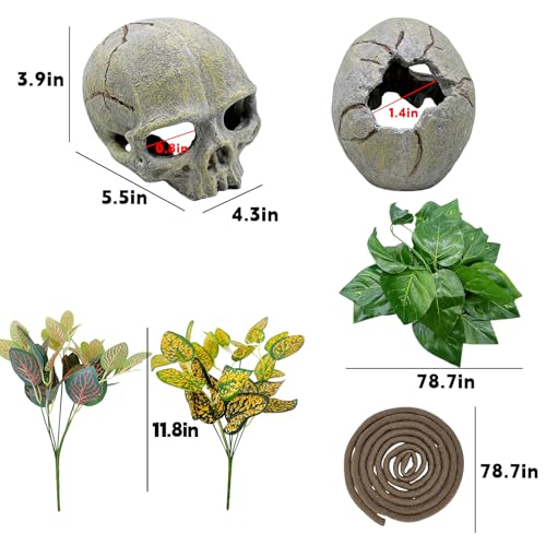 Tfwadmx 11Pcs Human Skull Decor with Plants, Snake Hide, Gecko Tank Accessories, Resin Skull with Climbing Vines Reptile Terrarium Tank Decor for Tarantulas, Lizards