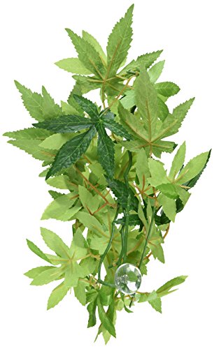 Exo Terra Silk Terrarium Plant, Small, Abutilon - size: Small