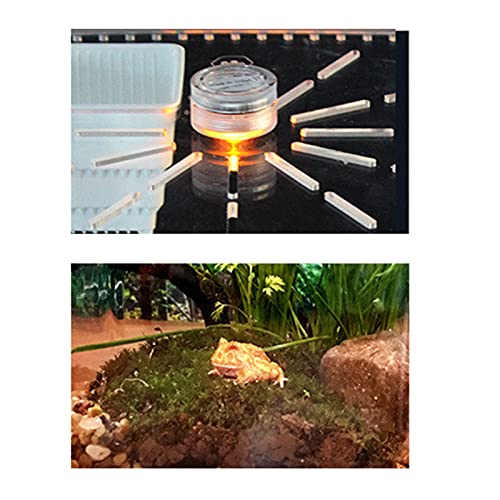 Acrylic Clear Reptile Terrarium Enclosure Cage, Reptile Breeding Box Lizard Spider Tank Climbing Pet Box with LED Light