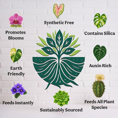 Organic Liquid Indoor Plant Food, Houseplant, Tropical & All-Purpose Indoor Plant Fertilizer, Organic Liquid Fertilizer 5-5-5 with Sea Kelp, 12oz Treats 75 Gallons - size: 12oz