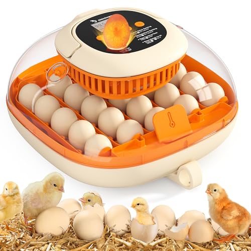 Chickcozy 25 Egg Incubator, Automatic Egg Turner with Thermometer Seat and Humidity Control, Egg Candler, 360° View with Clear Window, Incubators for Hatching Chicks (Sunlit Orange) | Automatic Egg Turning, Humidity Control, Built-In Egg Candler, Digital