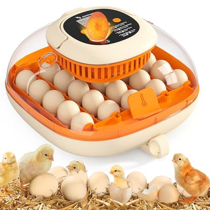 Chickcozy 25 Egg Incubator, Automatic Egg Turner with Thermometer Seat and Humidity Control, Egg Candler, 360° View with Clear Window, Incubators for Hatching Chicks (Sunlit Orange) | Automatic Egg Turning, Humidity Control, Built-In Egg Candler, Digital