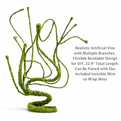 Jumping Spider Enclosure Kit, Waterproof Clear Acrylic Spider Terrarium, Front Opening + Top Access, Ventilated Insect Habitat with Moss Vine, Green Plant, 2 Moss Packs & Invisible Line (6-Piece Set)