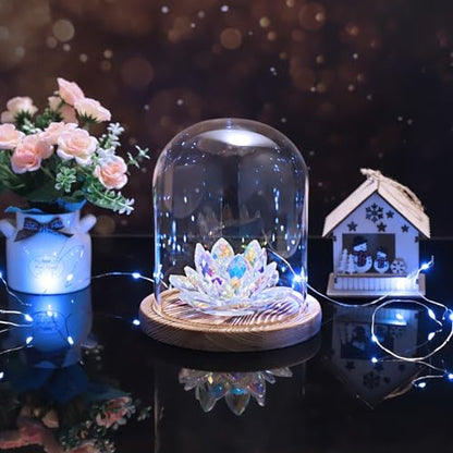JUXYES 4.5x6 Inch Clear Glass Display Dome Cloche with Walnut Wood Base | Transparent Dome Cloche Bell Terrarium Jar, Glass Dust Proof Display Stand for Plants, Collectibles, Figurines, Keepsakes