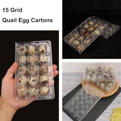 200 Pack Quail Egg Cartons, Clear Plastic Quail Egg Trays, Holds up to 15 Quail Eggs Securely - Your Ultimate Small Eggs Carton Holders for Bulk Storage and Display - size: 15 Grids