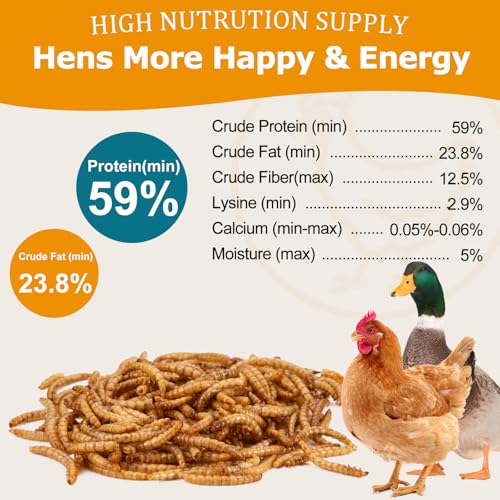 5LB Dried Mealworms, Non-GMO Meal Worms for Chickens & Birds, High Protein Chicken Feed, Natural Chicken Worms Ideal for Wild Birds, Reptile Tasty Bird Food