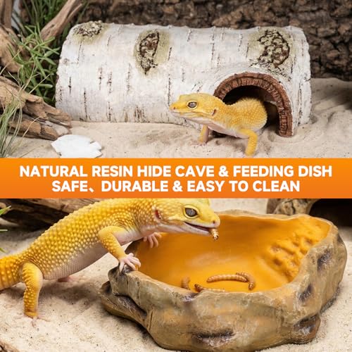 REPTIZOO 5-in-1 Reptile Terrarium Starter Kit, 20 Gallon Reptile Tank with Built-in Heating System PID Digital Thermostat & UVB Light (5.0&10.0 Adjustable) & Reptile Hide Cave & Feeding Dish - size: 5-in-1 Starter Kit