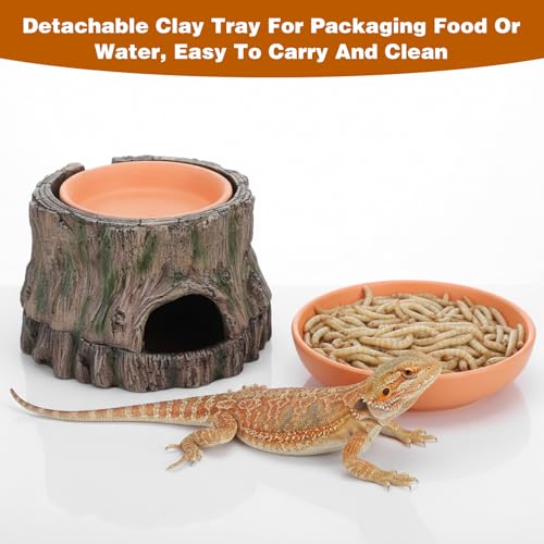3 in 1 Reptile Hide Cave with Detachable Base & Humidity Dish, Essential Terrarium Decor for Crested Gecko, Leopard Gecko, Lizard, Snake, Crabs