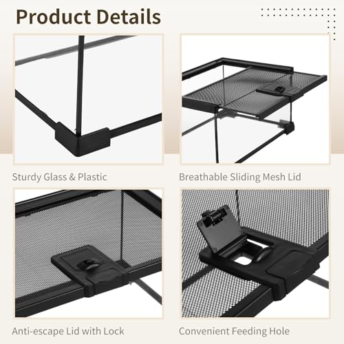Mini Reptile Glass Terrarium 12"x8"x6", Full View Rainforest Vivarium Tank, Stackable Amphibian Enclosure Cage for Turtles, Geckos, Frogs, Hermit Crabs, No Installation Needed - size: 12"L x 8"W x 6"H