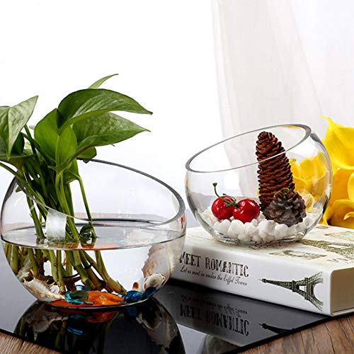 WGV Slant Cut Bowl Glass Vase, Width 11", Height 9.5", Clear Terrarium, Candy Dish, Fruit Jar, Floral Container for Wedding Party Event, Home Office Decor, 1 Piece - size: Slant Bowl 9.5"H