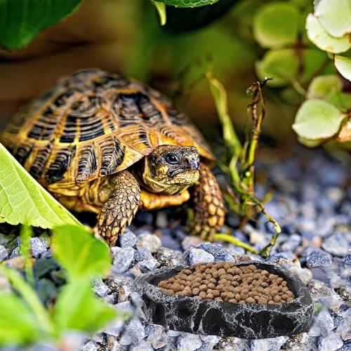 3 Pack Reptile Water Dish, Samll Snake Water Bowl, Bearded Dragon Food Dish | Leopard Crested Gecko Tank Accessories, Feeding Dish Kit for Tortoise, Lizard, Frog, Hermit Crab