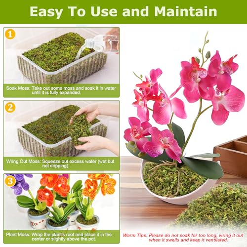 4.4LB Sphagnum Moss for Plants, 80QT Natural Long Fiber Orchid Moss | Drainage & Moisture Retention, Green Plant Moss for Orchid Repotting, Carnivorous, Succulents, Reptile Bedding & Terrariums - size: 4.4LB