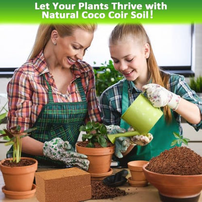 12 Pack Coco Coir Bricks for Plants- 100% Organic Coconut Coir Soil | Compressed Coconut Fiber Substrate, Coco Peat Garden Soil for Seed Starter, Potting Mix and Indoor & Outdoor Plants - size: 12 Pack