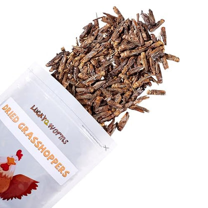 Freeze Dried Grasshoppers - High Protein Reptile & Bird Food, 1lb Resealable Bag for Bearded Dragons, Lizards, Hedgehogs | Natural, No Additives