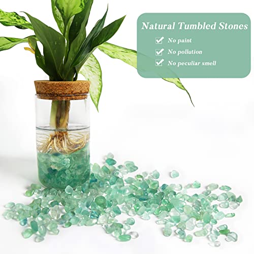 QICQDRAM Green Flourite Crystals Bulk Tumbled Chips Stone Natural 1LB | Small Tumbled Stones Crystal Chips Bulk for Healing Crystals Fish Tank Gravel Vase Filler (405g/14.28oz) - color: Green Flourite