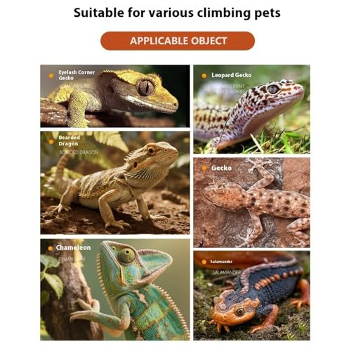 Bearded Dragon Basking Ramp Foldable Non-Slip Resting Playing Feeding | Bearded Dragons Climbing Step Ramp for Lizard Keepers Enclosure Vivarium Tank Frogs Geckos Chameleons Newts Snakes Tortoise - color: Light Brown