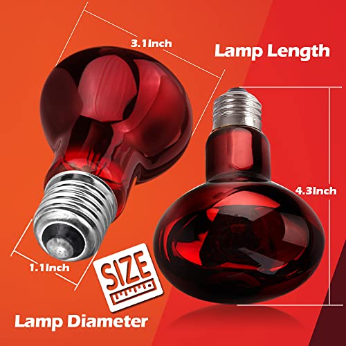 2 Pack 50w Reptile Heat Lamp Bulb Infrared Basking Spot Heat Lamp for Reptiles & Bearded Dragon Amphibian, Chicks, Dog Heating Use with Stick-on Digital Temperature Thermometer - style: 50W(2 Pack)