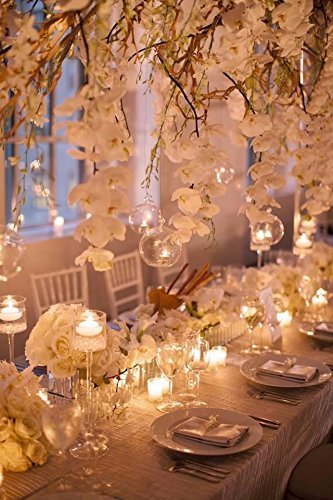 NUPTIO Hanging Glass Terrarium Globes with 2 Holes, 24 Pcs, 3.15 Inch | Clear Votive Orbs, for Air Plants, Tealights, Home or Garden Decor - size: 24 Pcs