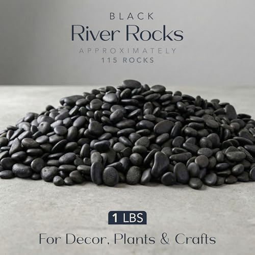Royal Imports River Rocks, Aquarium Gravel – Black 0.5"- 0.75" - 1 lb | Decorative Ornamental Vase Filler Pebbles for Potted Plants, Terrariums, Vases, Succulents, Fish Tank Gravel, DIY & Crafting