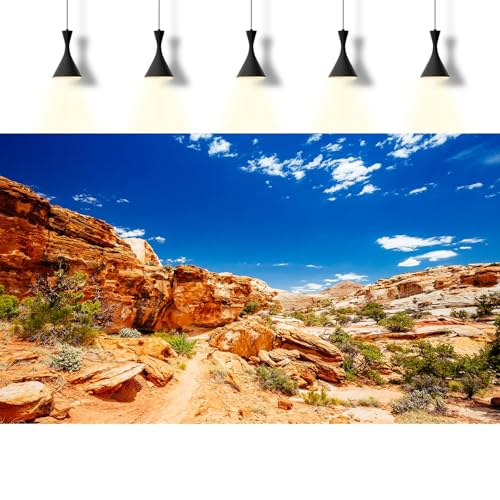 Desert Reptile Tank Background Blue Sky Rock Boulders Terrarium Background Desert Landscape Reptile Terrarium Background Rocky Bush Reptile Habitat Background Bearded Dragon Tank Background 24x12in - color: Blue, size: 24(W)x12(H)inches/ 60(W)*30cm(H)