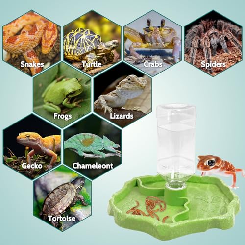 Tfwadmx 9oz 2-in-1 Reptile Water Bottle Turtle Automatic Feeders Waterer Food and Water Bowl pet Dispenser Bottle Feeding Dish for Lizard Chameleon(Green) - color: Green