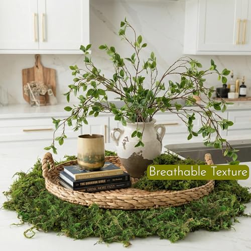 7OZ Moss for Plants Indoor, Natural Looking Faux Grass for Crafts, Terrariums, Fairy Gardens, Floral Arrangements - Artificial Spanish Moss Alternative for Home Decor (200g) (Fresh Green)