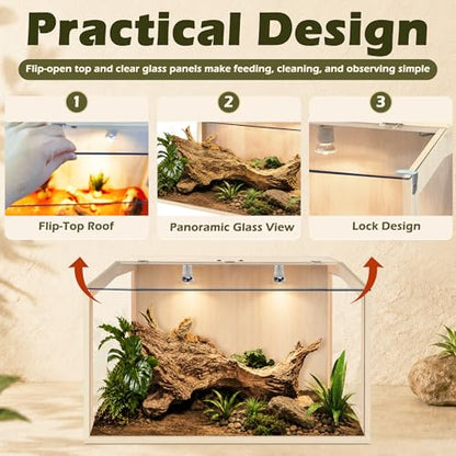 Bearded Dragon Tank, Lizard Tank with Clear Tempered Glass, Anti-Scratch Reptile Enclosure, Reptile Tank Built-in Light Fixtures with Switch (24X16X16inch,24 Gallon) - color: Transparent Roof, size: 24X16X16inch,24 Gallons