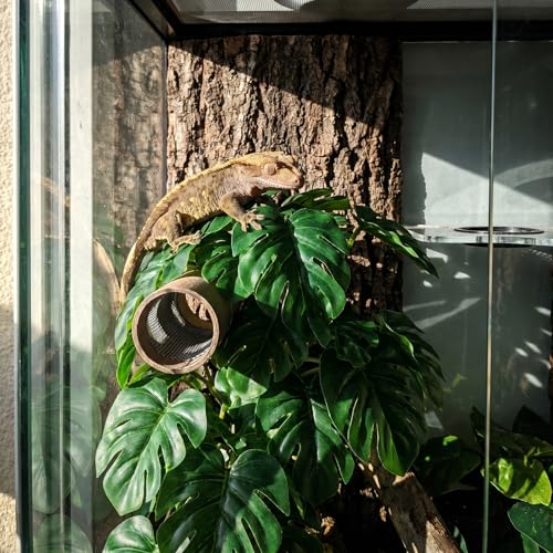 3 Pack Reptile Fake Plants for Terrarium Snake Habitat Decor Plant | Artificial Hanging Plants with Suction Cups Monstera, Terrarium Habitat Decor for Bearded Dragons Lizards Snake Geckos Frogs